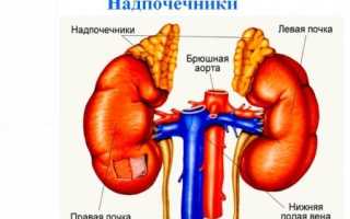 Как проверить надпочечники: какие сдать анализы